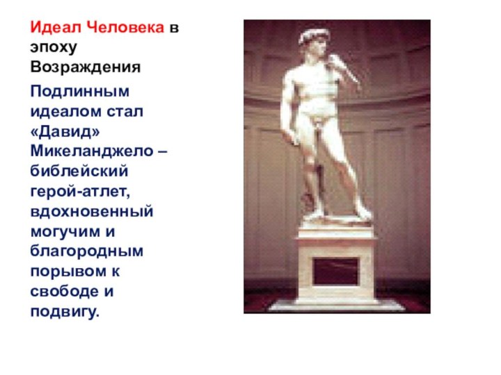 Идеал Человека в эпоху ВозражденияПодлинным идеалом стал «Давид» Микеланджело – библейский герой-атлет,