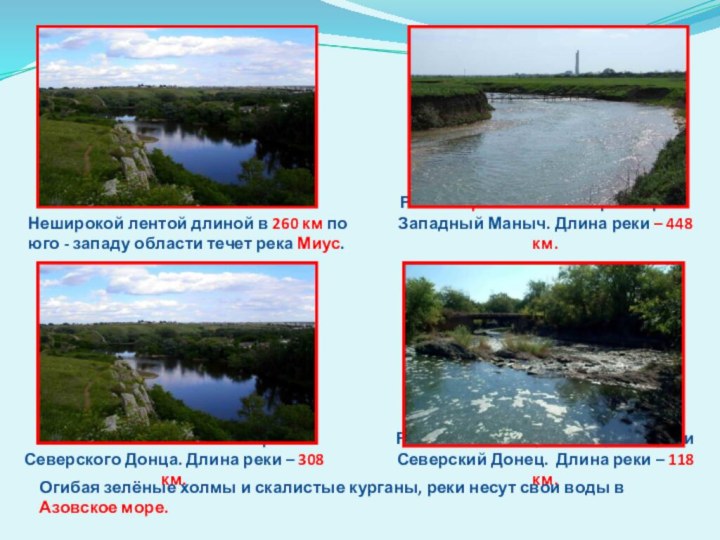 Река Калитва – основной приток Северского Донца. Длина реки –
