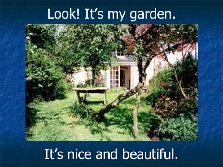 Look! It’s my garden.It’s nice and beautiful.