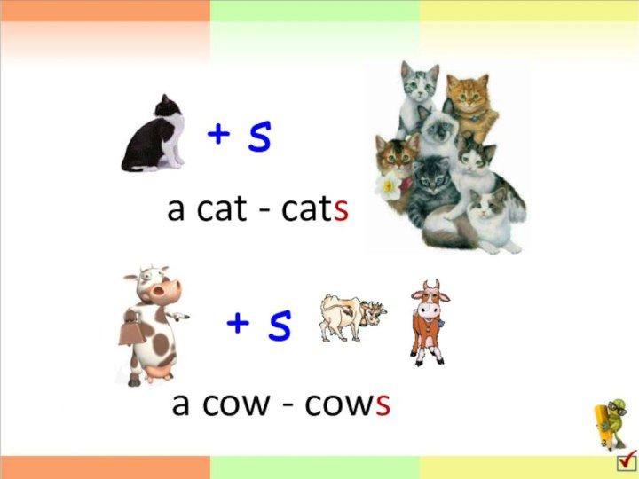 + sa cat - cats+ sa cow - cows