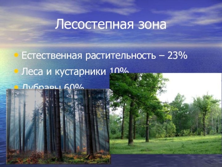 Лесостепная зонаЕстественная растительность – 23%Леса и кустарники 10%Дубравы 60%