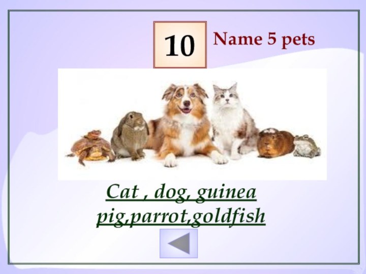 Name 5 petsCat , dog, guinea pig,parrot,goldfish10