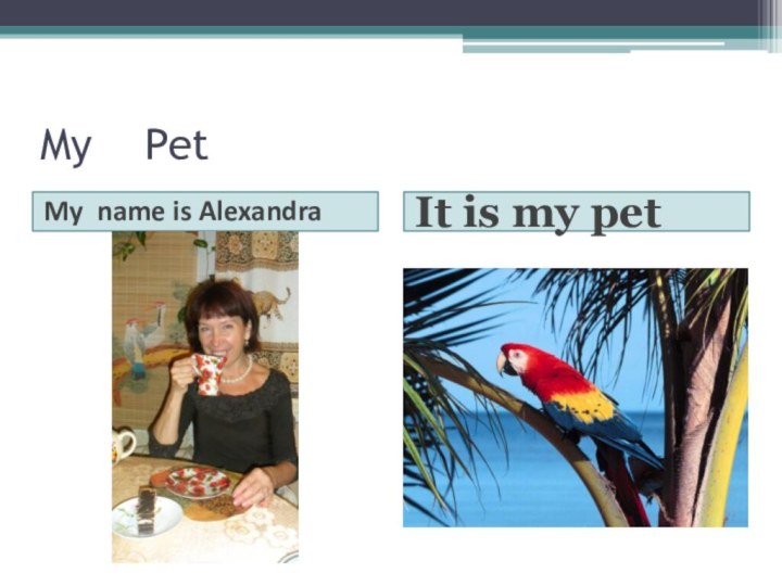 My  PetMy name is AlexandraIt is my pet