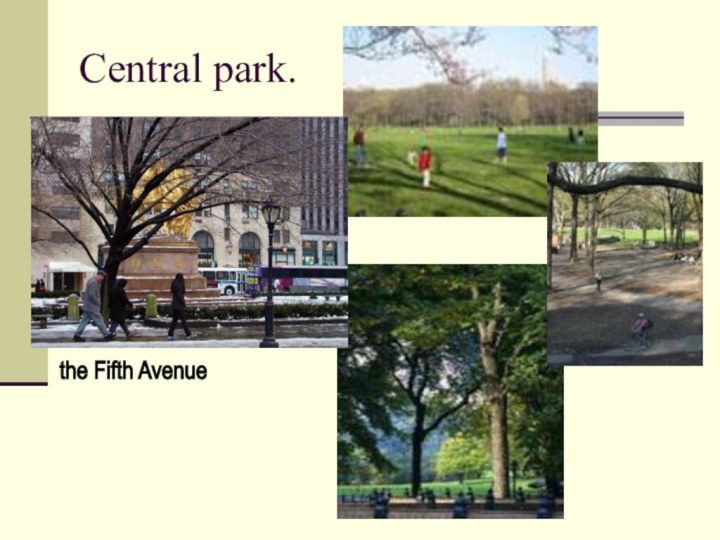 Central park.the Fifth Avenue