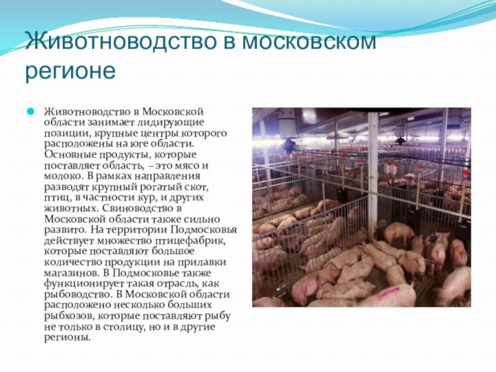 Животноводство в московском регионеЖивотноводство в Московской области занимает лидирующие позиции, крупные центры которого расположены