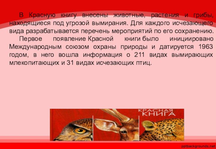 В Красную книгу внесены животные, растения и грибы, находящиеся под угрозой вымирания.