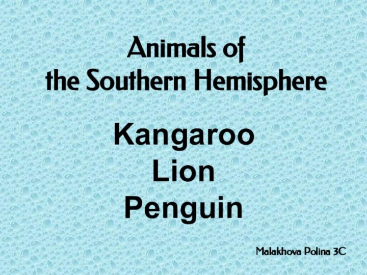 Kangaroo Lion PenguinAnimals of the Southern HemisphereMalakhova Polina 3C