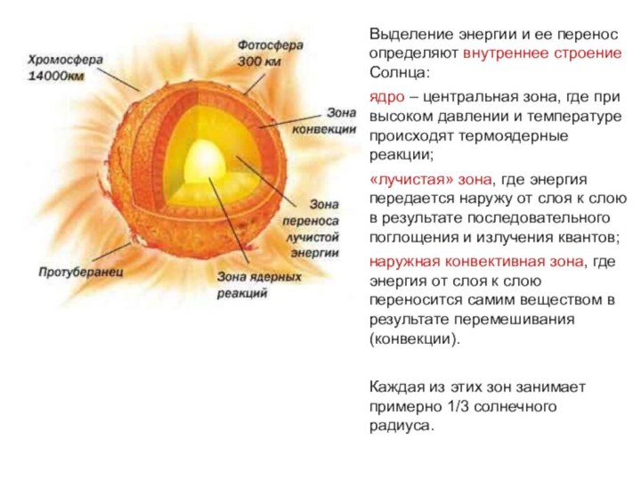 Выделение энергии и ее перенос определяют внутреннее строение Солнца:ядро – центральная зона, где при