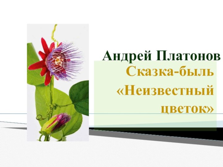 Андрей ПлатоновСказка-быль«Неизвестный цветок»