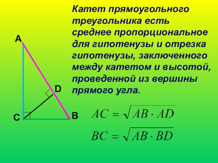 Катет прямоугольного треугольника естьсреднее пропорциональноедля гипотенузы и отрезкагипотенузы, заключенногомежду катетом и высотой,проведенной из вершиныпрямого угла.