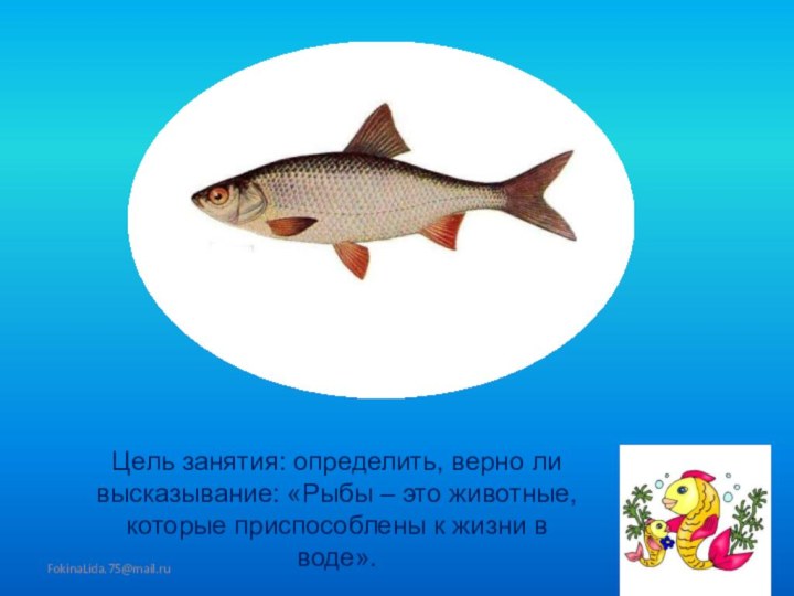 FokinaLida.75@mail.ru Цель занятия: определить, верно ли высказывание: «Рыбы – это животные, которые