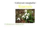Презентация по казахскому языку на тему Көктем