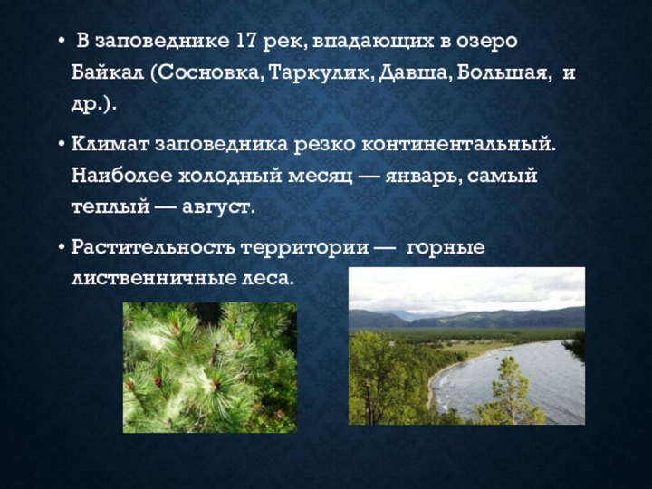 В заповеднике 17 рек, впадающих в озеро Байкал (Сосновка, Таркулик, Давша,