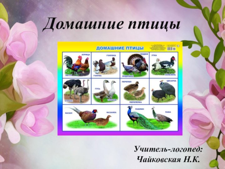 Домашние птицыУчитель-логопед:Чайковская Н.К.
