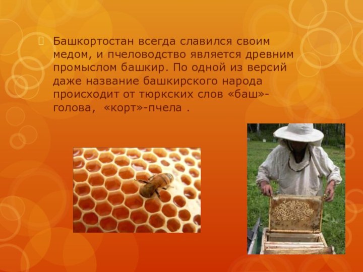 Башкортостан всегда славился своим медом, и пчеловодство является древним промыслом башкир. По