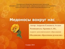 Презентация к проекту разработки и создания текстильной развивающей книжки на тему медоносов Республики Башкортостан