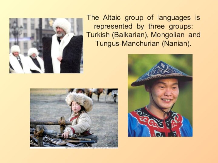 The Altaic group of languages is represented by three groups: Turkish (Balkarian), Mongolian and Tungus-Manchurian (Nanian).