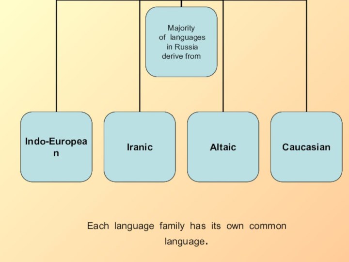 Each language family has its own common language.