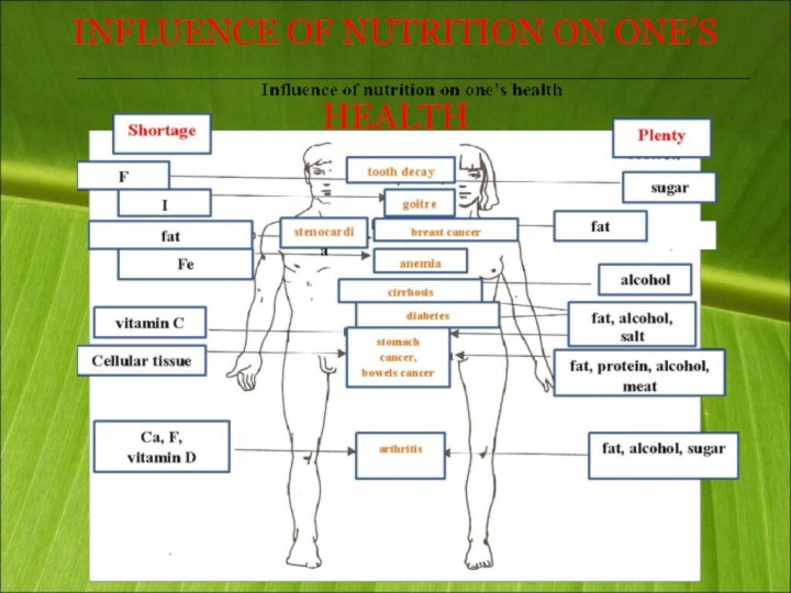 INFLUENCE OF NUTRITION ON ONE’S   HEALTH