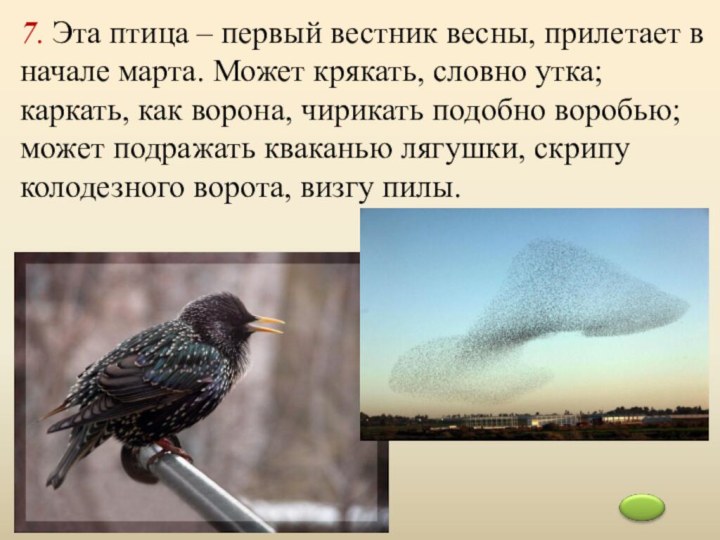 7. Эта птица – первый вестник весны, прилетает в начале марта. Может