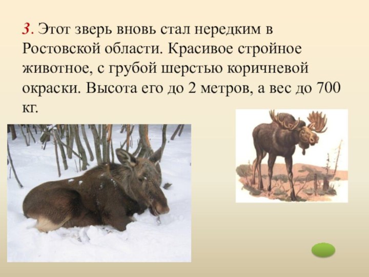 3. Этот зверь вновь стал нередким в Ростовской области. Красивое стройное животное, с грубой