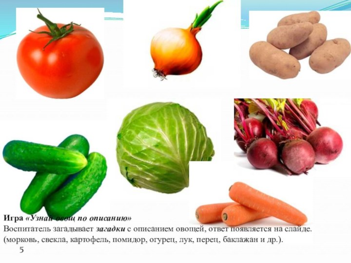5Игра «Узнай овощ по описанию»Воспитатель загадывает загадки с описанием овощей, ответ