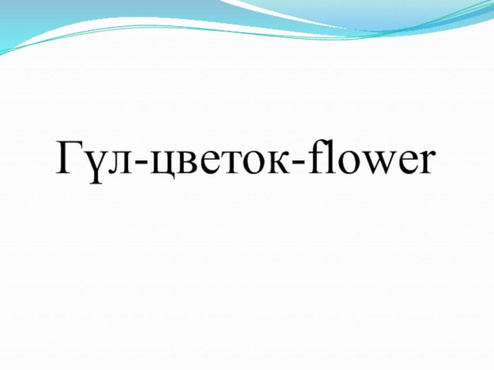 Гүл-цветок-flower