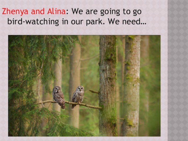 Zhenya and Alina: We are going to go bird-watching in our park. We need…
