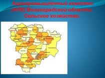 Агропромышленный комплекс (АПК) Волгоградской области. Сельское хозяйство.