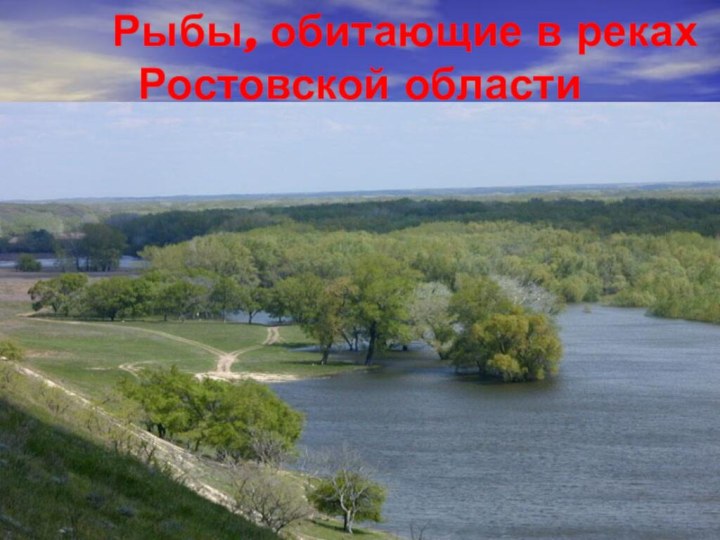 Рыбы, обитающие в реках Ростовской области