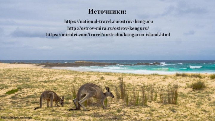 Источники:  https://national-travel.ru/ostrov-kenguru  http://ostrov-mira.ru/ostrov-kenguru/  https://miridei.com/travel/australia/kangaroo-island.html