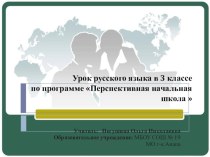 Презентация к уроку русского языка на тему Существительное (3 кл. ПНШ)