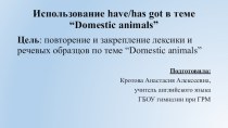 Использование have/has got в теме “Domestic animals”