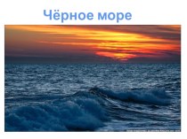 Черное море по экологии