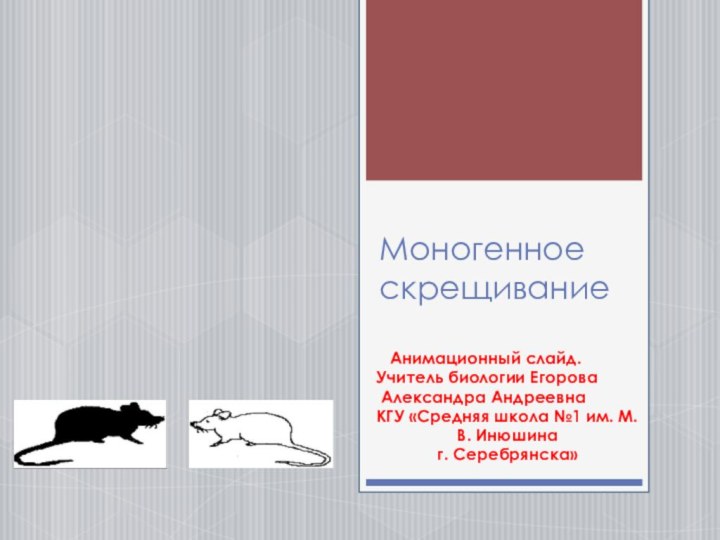 Моногенное скрещивание   Анимационный слайд. Учитель биологии Егорова   Александра