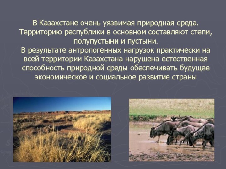 В Казахстане очень уязвимая природная среда. Территорию республики в основном составляют степи,
