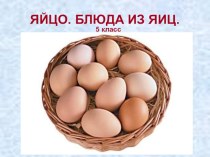 Яйцо. Блюда из яиц - урок кулинарии в 5 классе