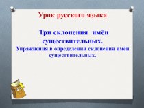 Презентация к конспекту урока русского языка Склонение (6 класс)