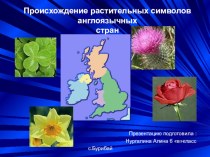Презентация по английскому языку на тему Происхождение растительных символов англоязычных стран