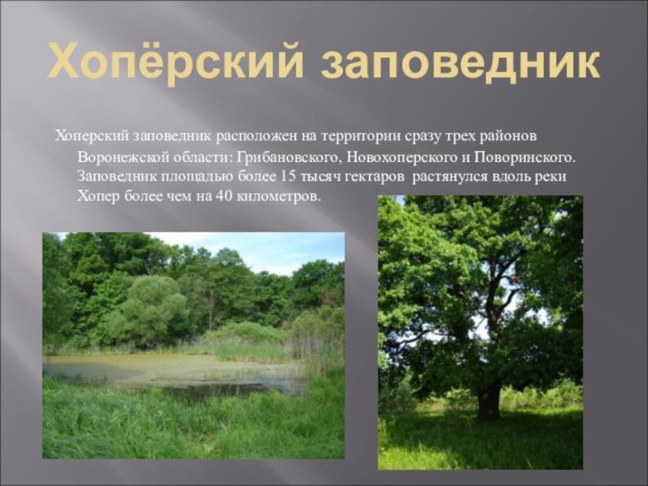 Хопёрский заповедник Хоперский заповедник расположен на территории сразу трех районов Воронежской