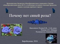 Презентация Почему нет синей розы