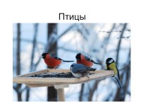 Презентация по окружающему миру на тему Птицы