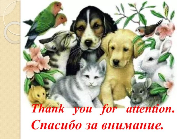 Thank you for attention. Спасибо за внимание.