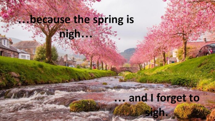 …because the spring is nigh…… and I forget to sigh.