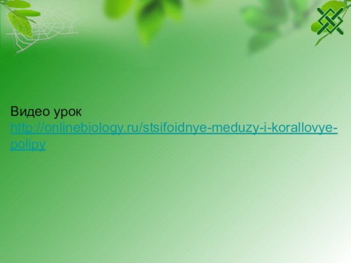 Видео урок http://onlinebiology.ru/stsifoidnye-meduzy-i-korallovye-polipy