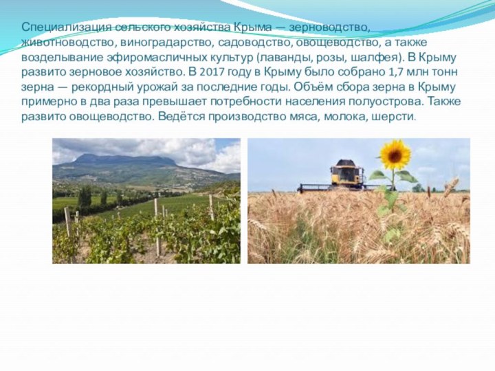 Специализация сельского хозяйства Крыма — зерноводство, животноводство, виноградарство, садоводство, овощеводство, а также возделывание эфиромасличных