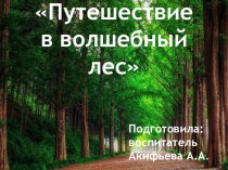 Презентация Путешествие в волшебный лес