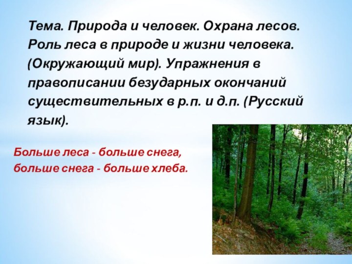 Тема. Природа и человек. Охрана лесов. Роль леса в природе и жизни