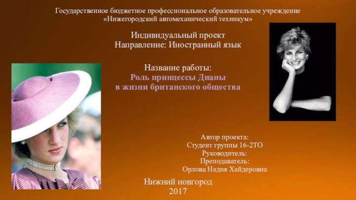 Государственное бюджетное профессиональное образовательное учреждение  «Нижегородский автомеханический техникум»Индивидуальный проект Направление: