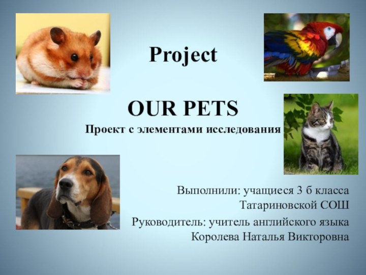 Project  OUR PETS Проект с элементами исследования Выполнили: учащиеся 3 б